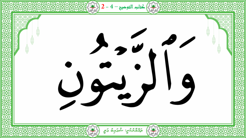 10- سورة التين - 10