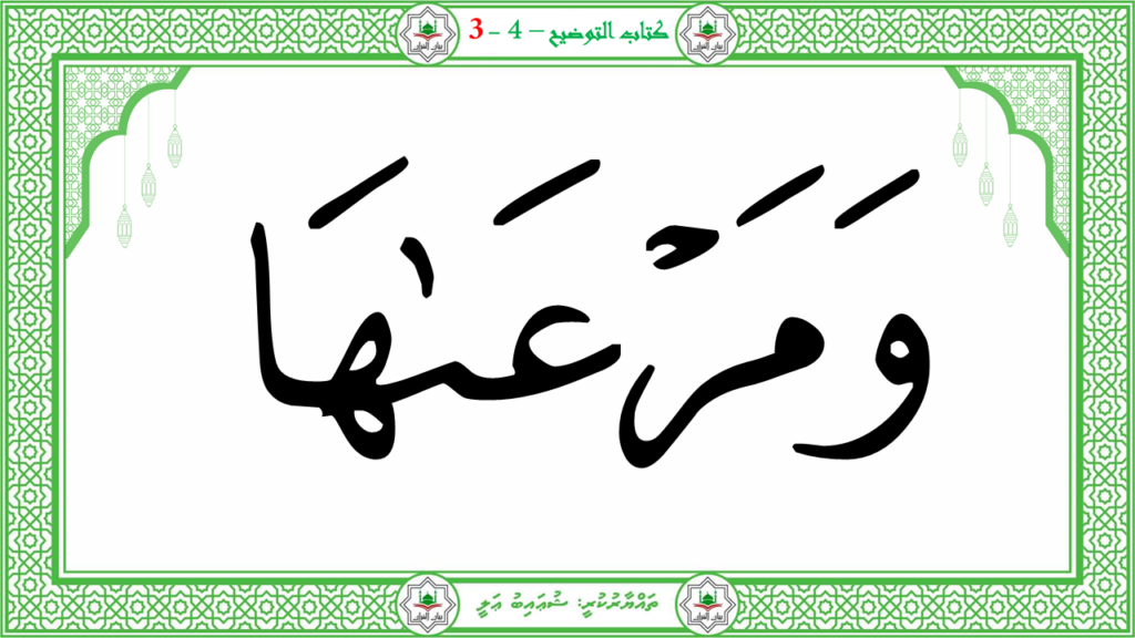 2- سورة النّازعات - 120