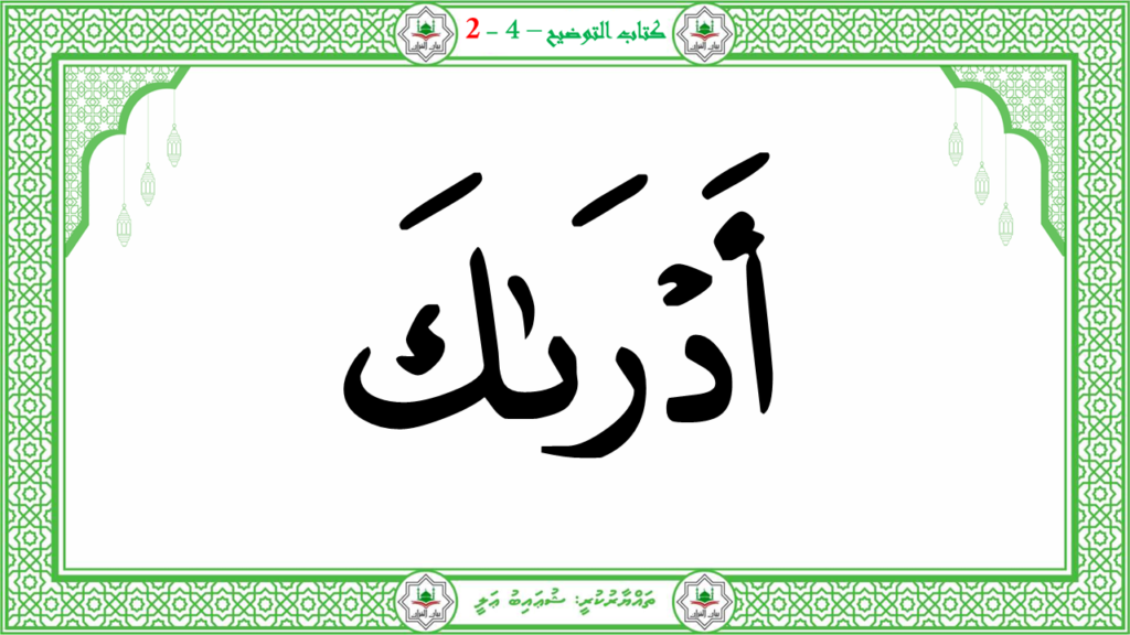 1- سورة الطّارق - 13