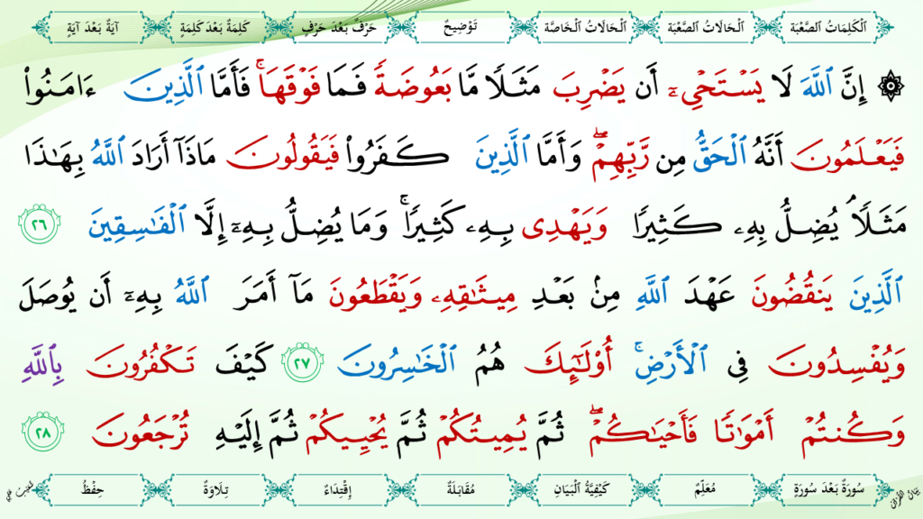 2- سورة البقرة - 13