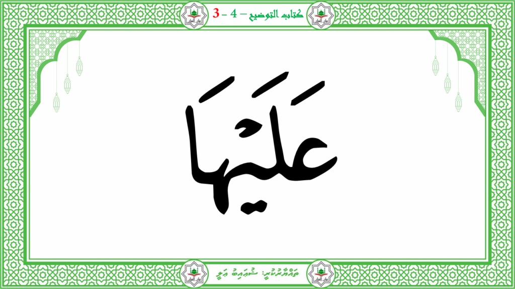 3- سورة عبس - 133