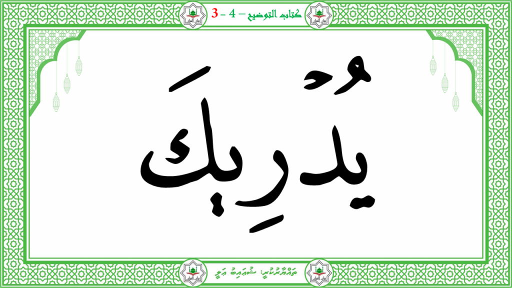 3- سورة عبس - 14