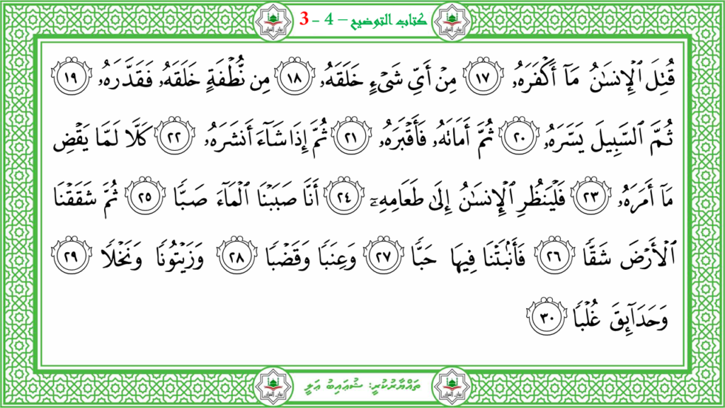 3- سورة عبس - 144
