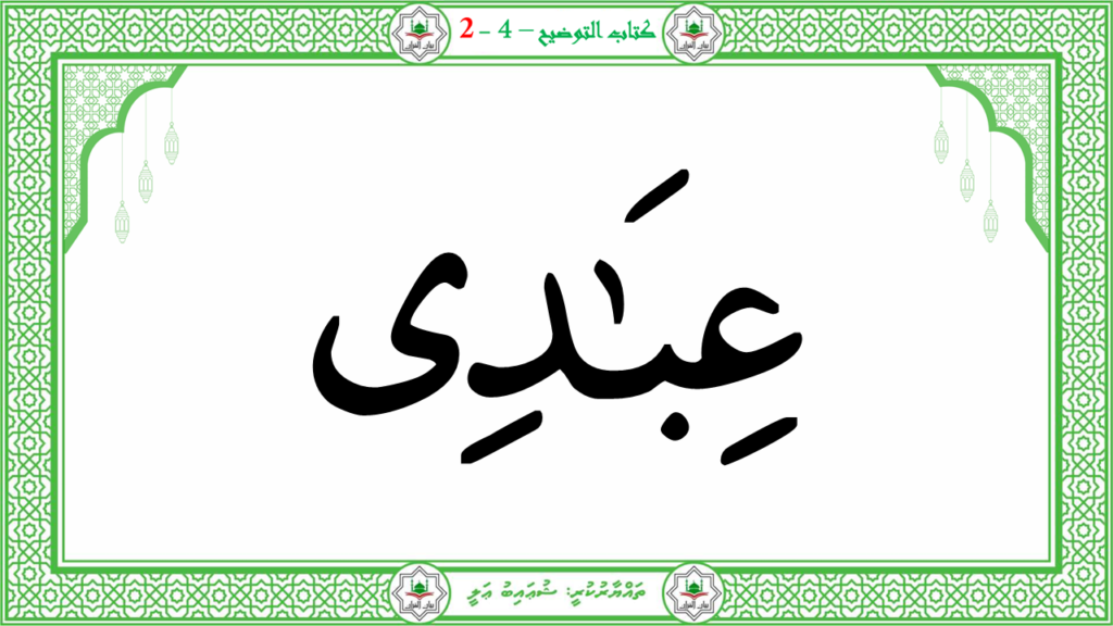 4- سورة الفجر - 147