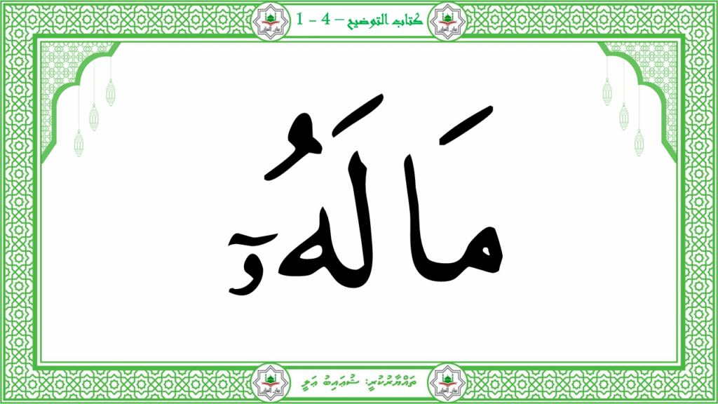 11- سورة الهمزة - 16