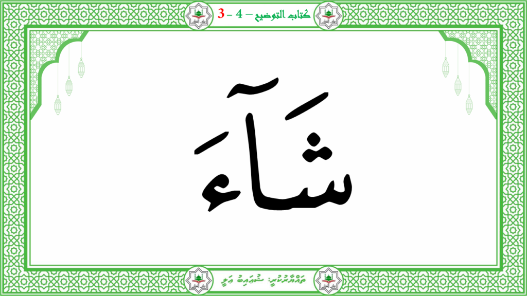 1- سورة النبإ - 163