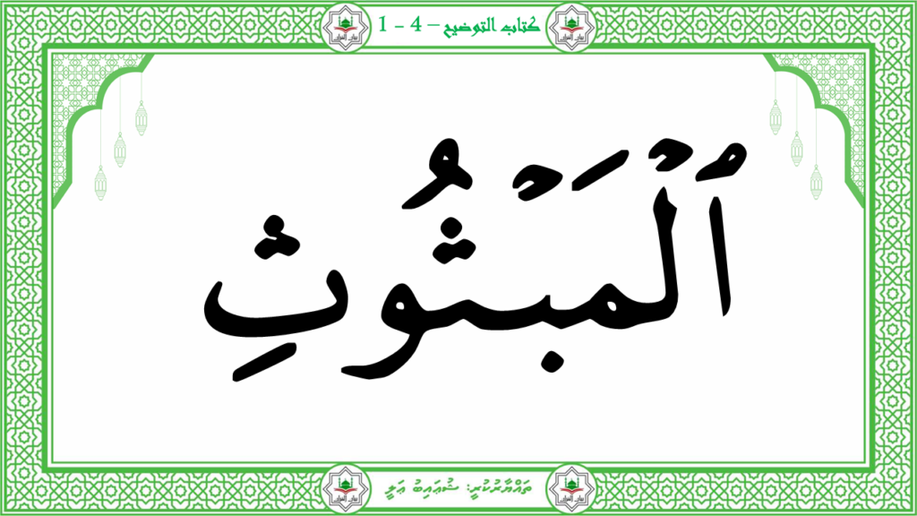 14 – سورة القارعة - 19