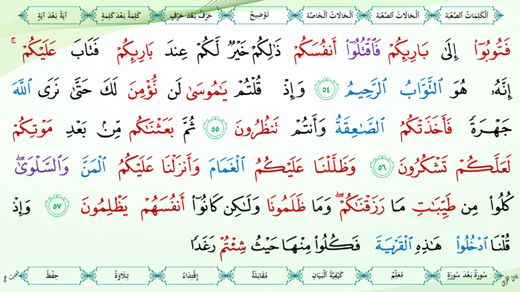 2- سورة البقرة - 19