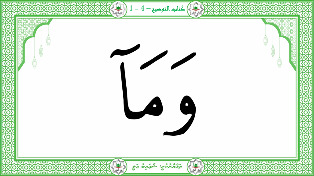 11- سورة الهمزة - 22