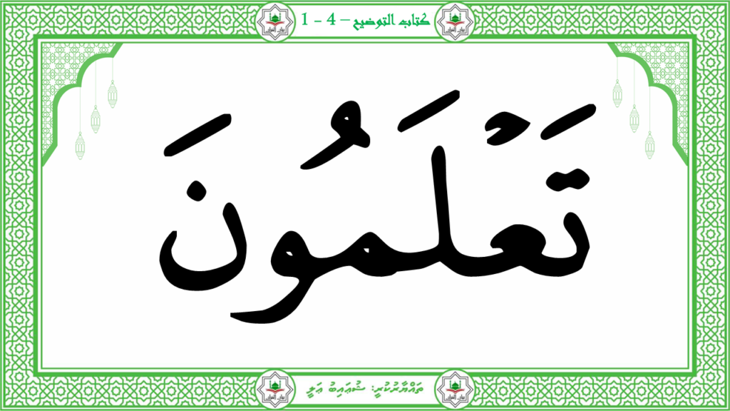 13 -سورة التكاثر - 22