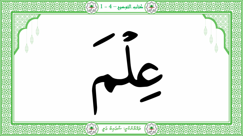 13 -سورة التكاثر - 23