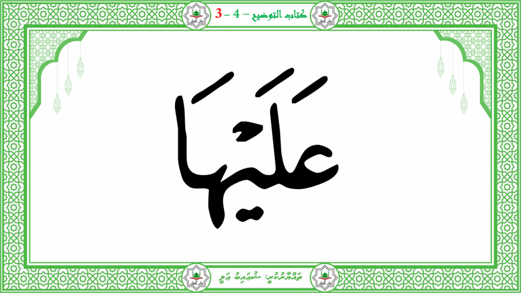 8- سورة البروج - 23