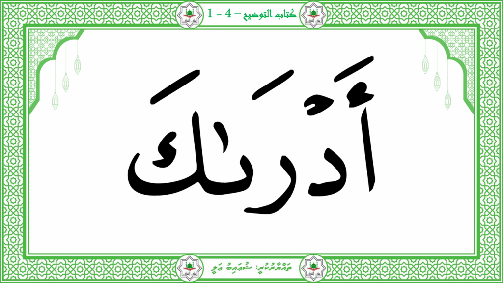 11- سورة الهمزة - 23