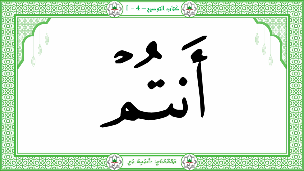6- سورة الكافرون - 24