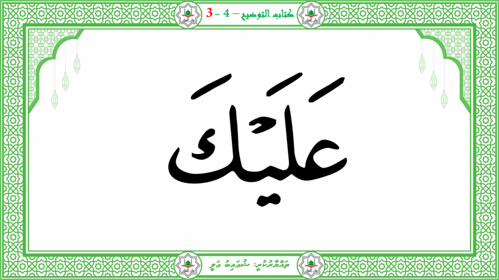 3- سورة عبس - 28
