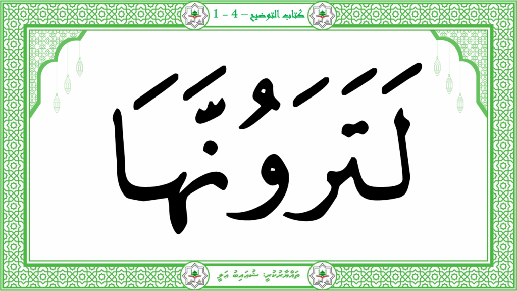 13 -سورة التكاثر - 28