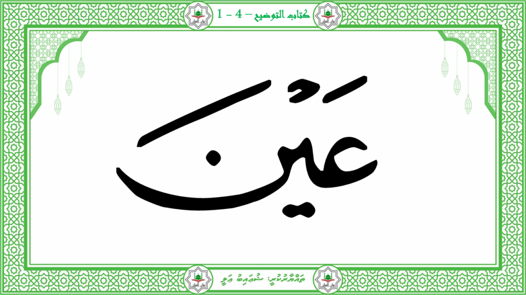 13 -سورة التكاثر - 29