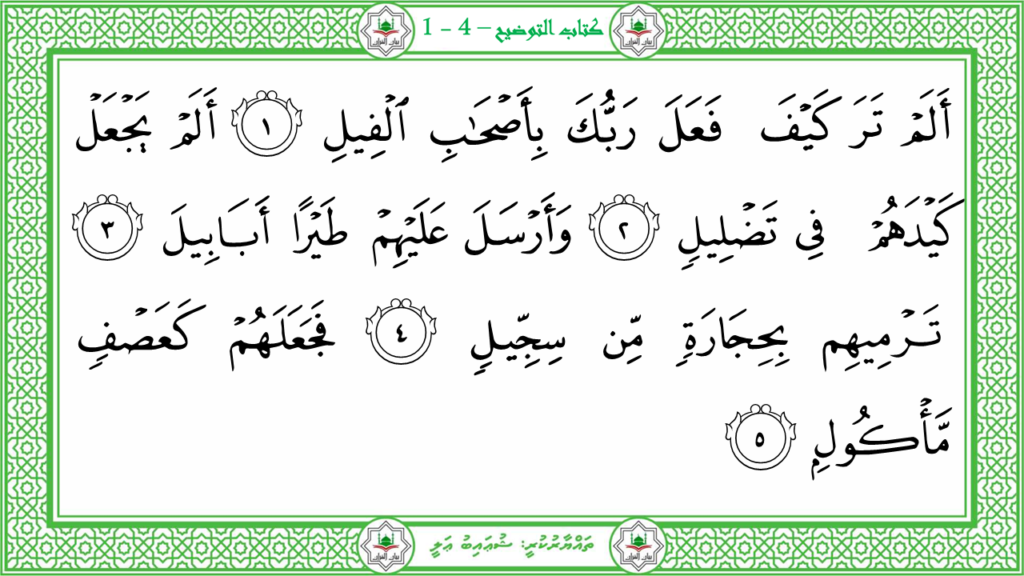 10-سورة الفيل - 30