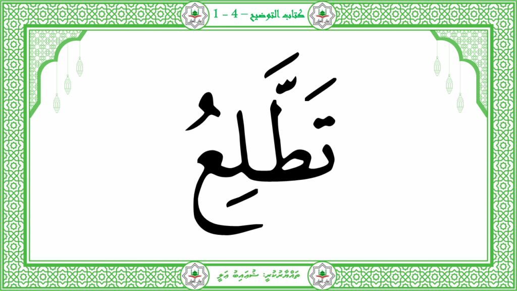 11- سورة الهمزة - 30