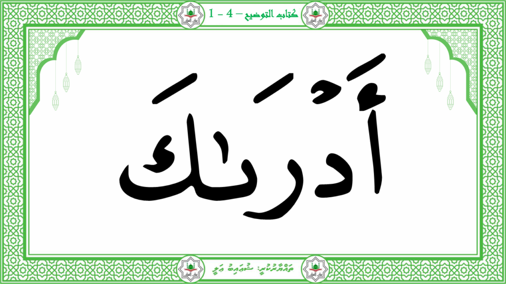 14 – سورة القارعة - 39
