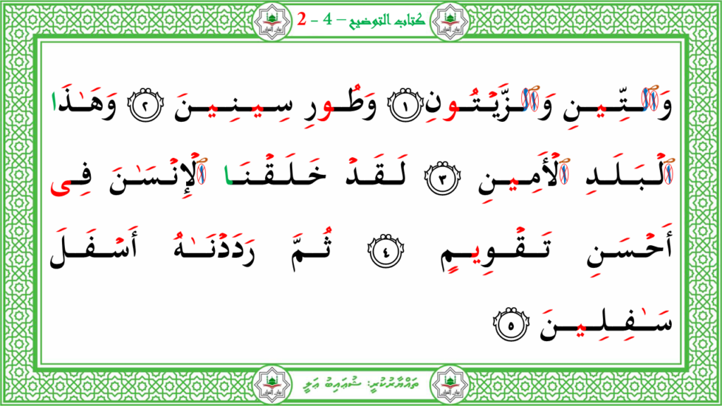 10- سورة التين - 4