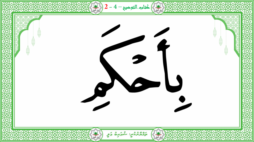 10- سورة التين - 41