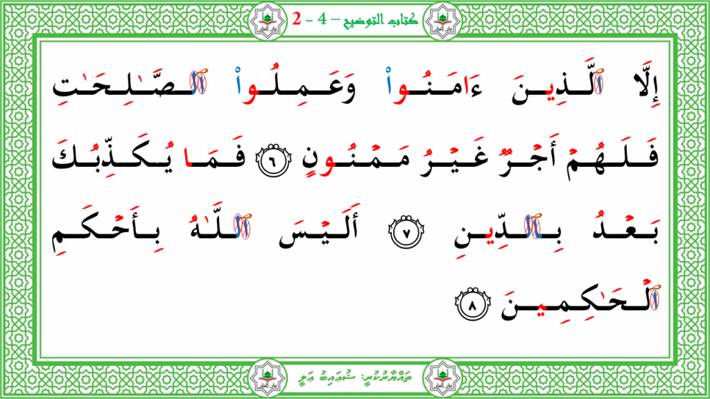 10- سورة التين - 5
