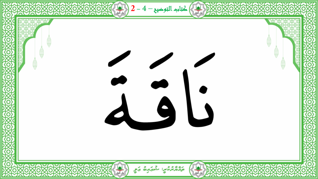 6- سورة الشّمس - 50