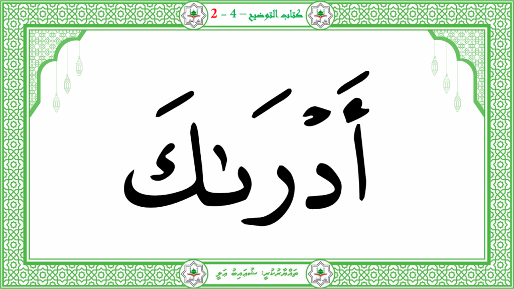 5- سىوة البلد - 53