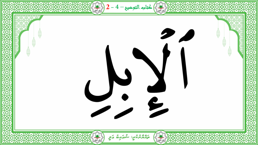 3- سورة العاشية - 67