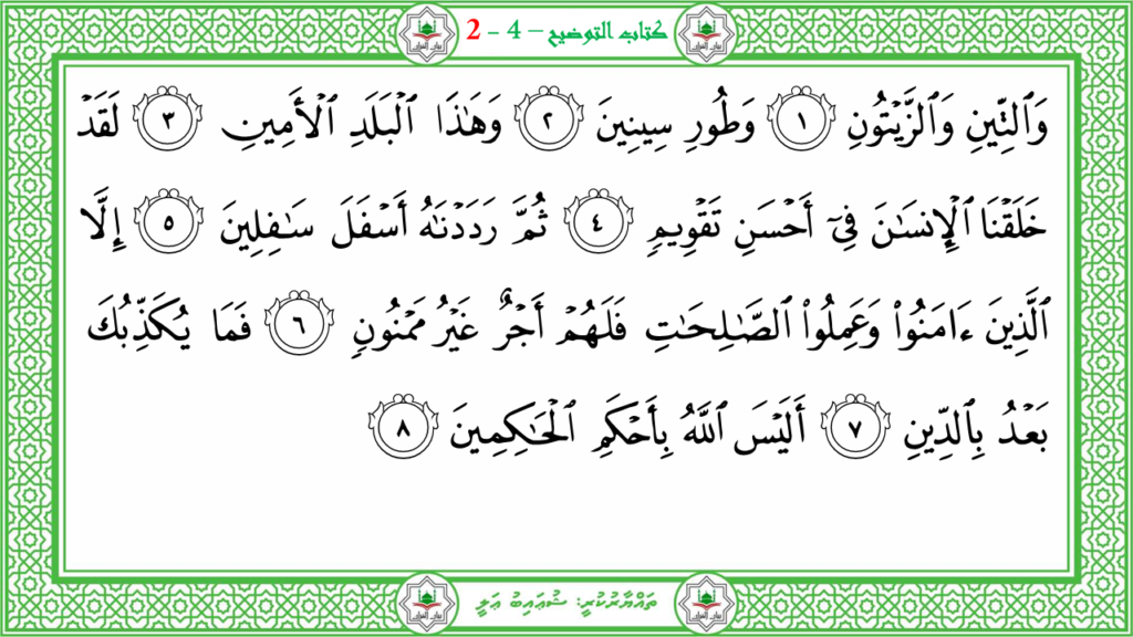 10- سورة التين - 7