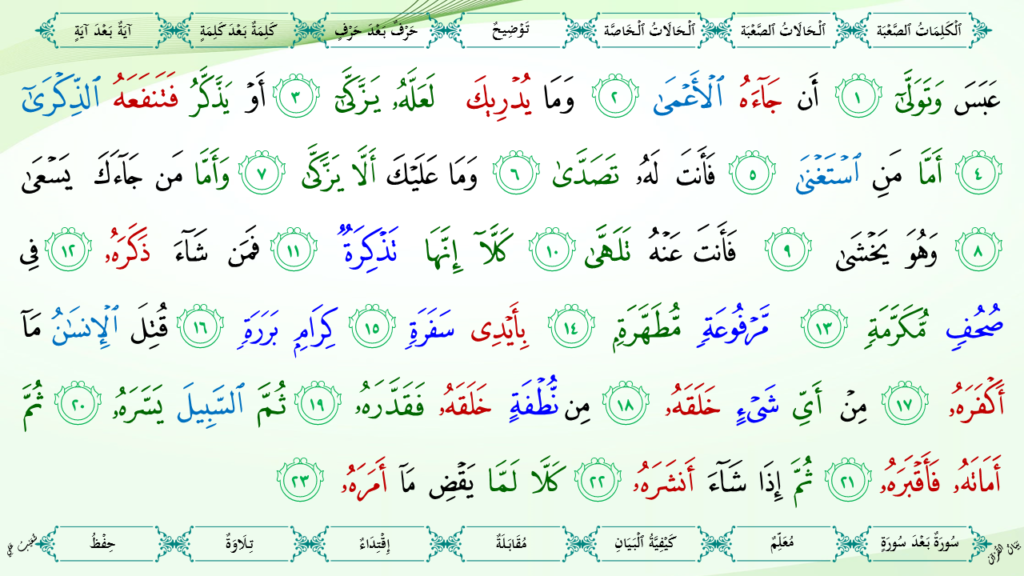 14- سورة عبس - 8