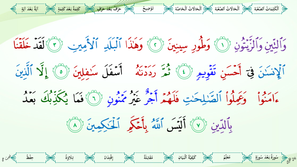 29 – سورة التّين - 8