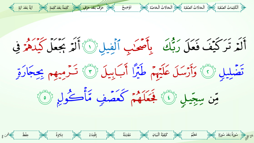 39 – سورة الفيل - 8