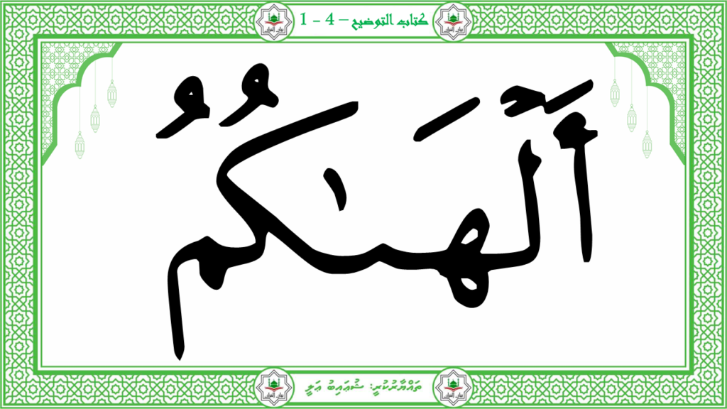 13 -سورة التكاثر - 8