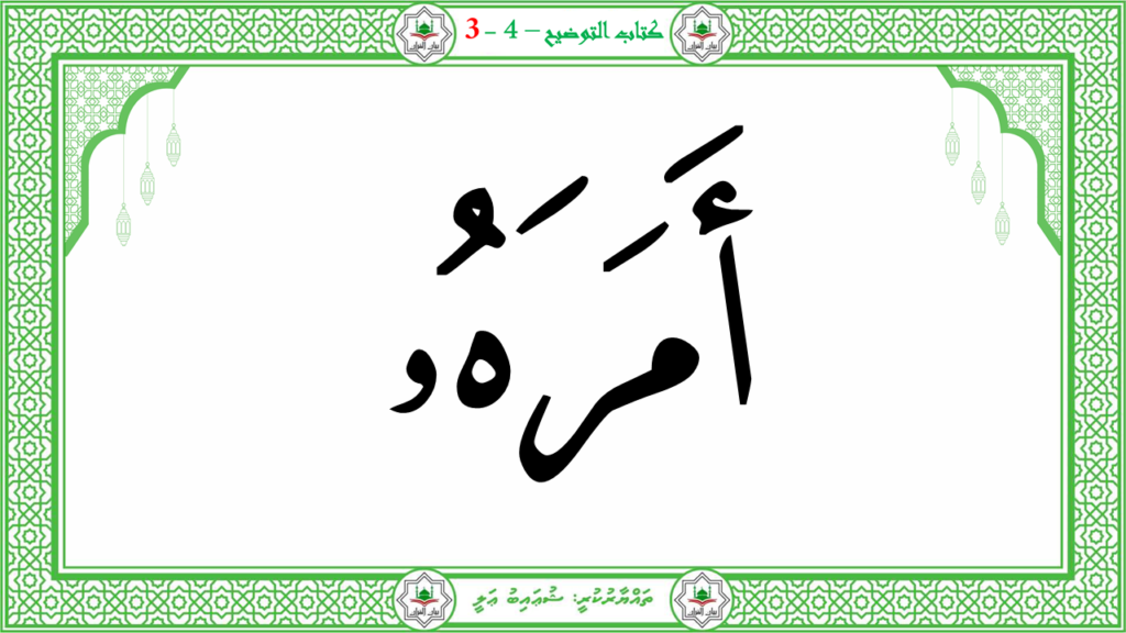 3- سورة عبس - 81