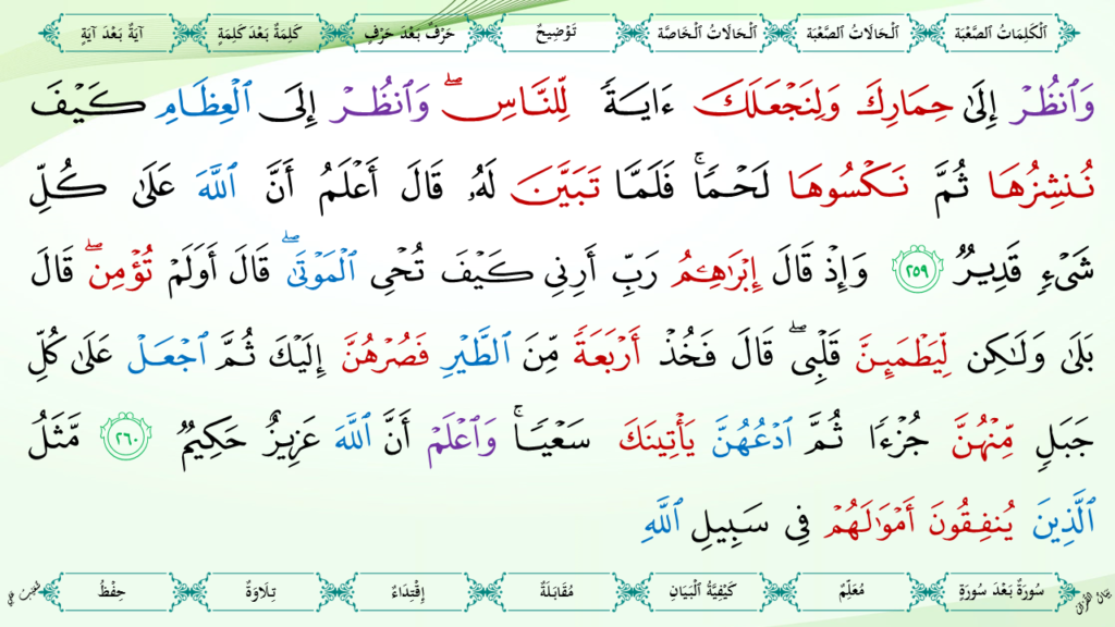 2- سورة البقرة - 85