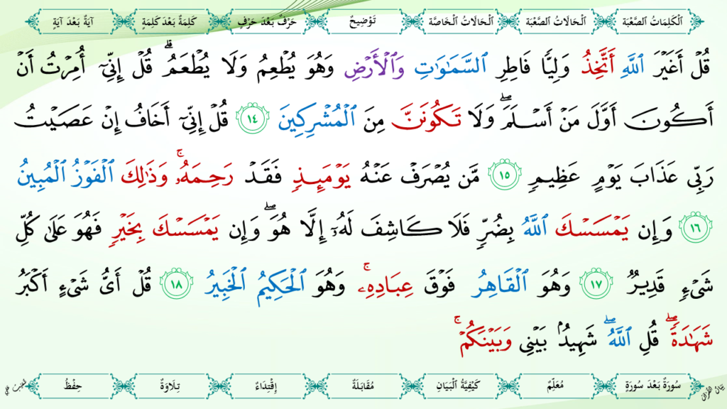 6- سورة الأنعام - 11