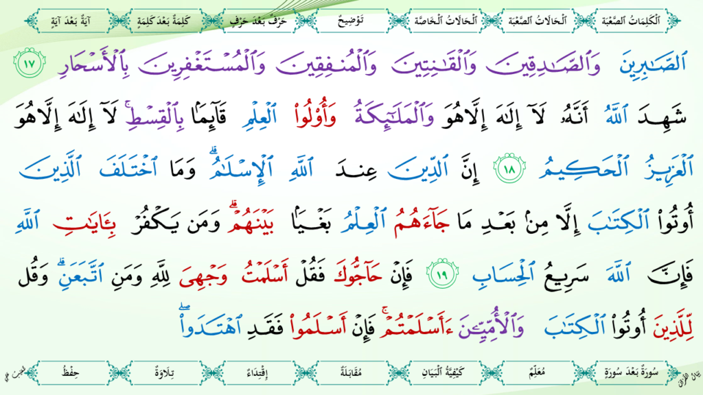 3-سورة آل عمران - 12