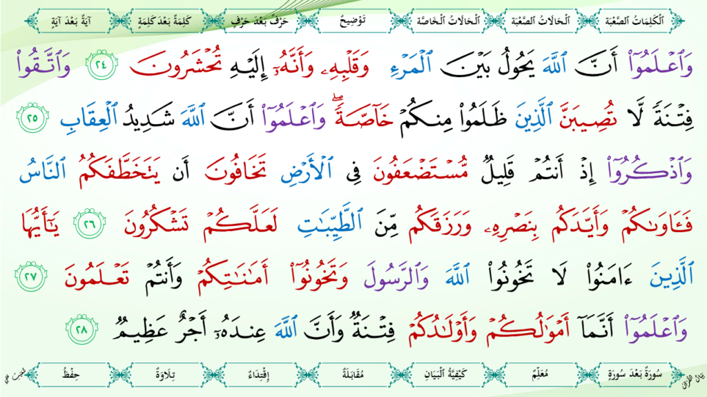 8- سورة الأنفال - 13