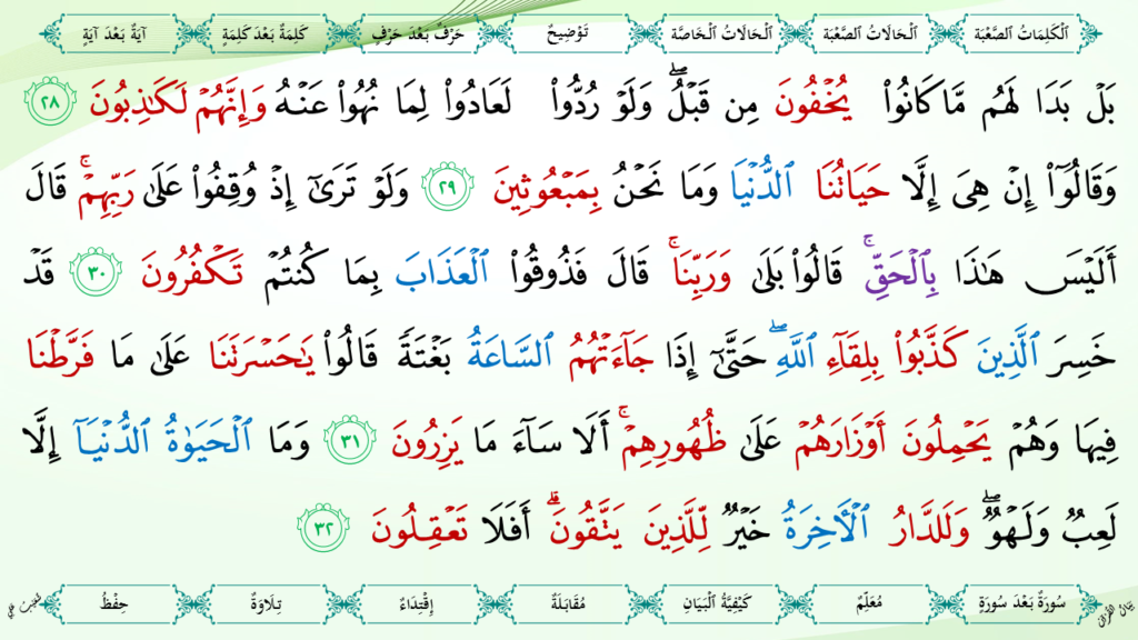 6- سورة الأنعام - 14