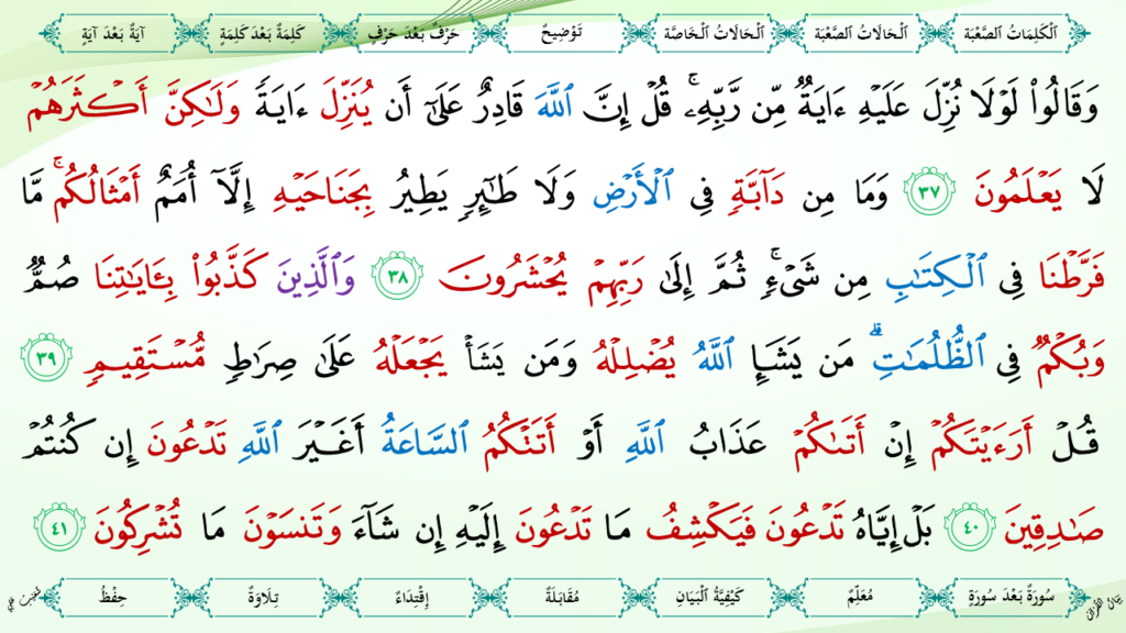 6- سورة الأنعام - 16