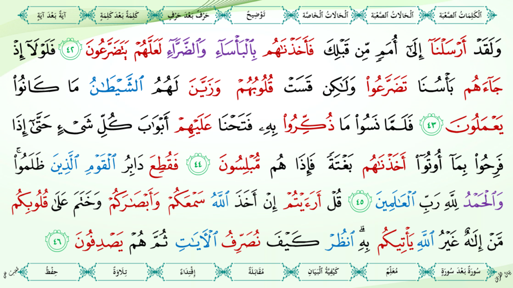 6- سورة الأنعام - 17