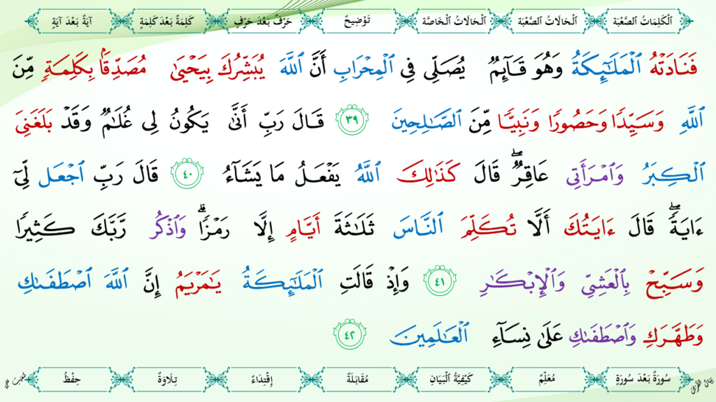 3-سورة آل عمران - 18