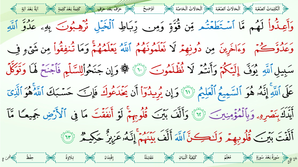 8- سورة الأنفال - 22