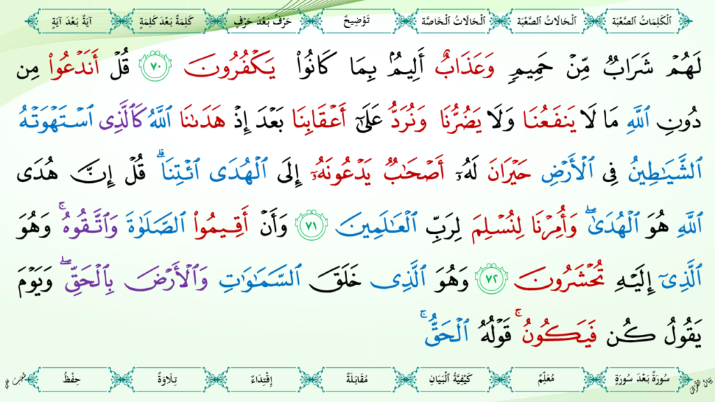 6- سورة الأنعام - 24