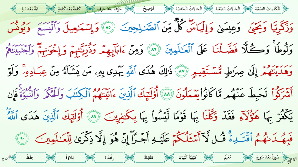 6- سورة الأنعام - 28