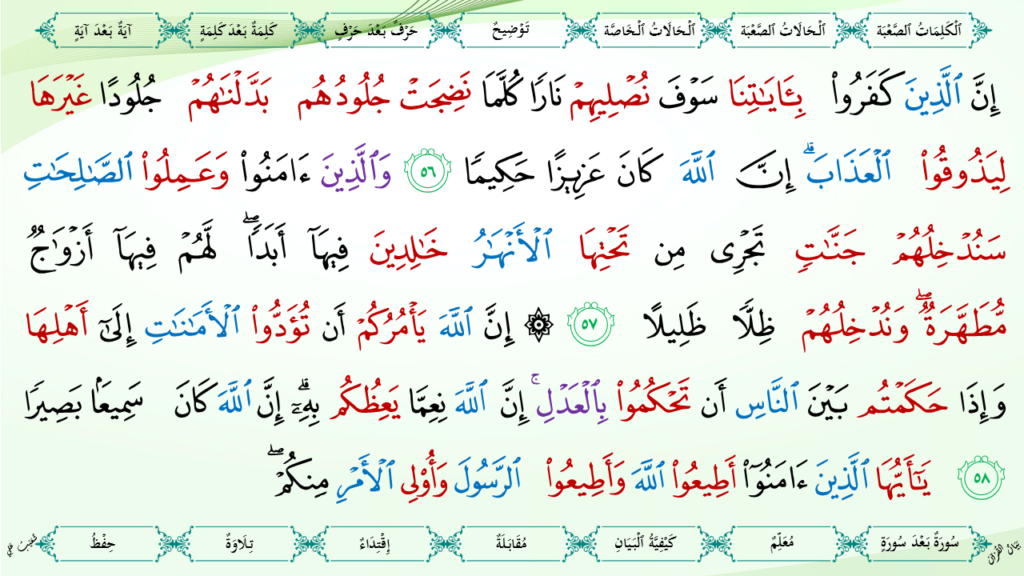 4 – سورة النّساء - 29