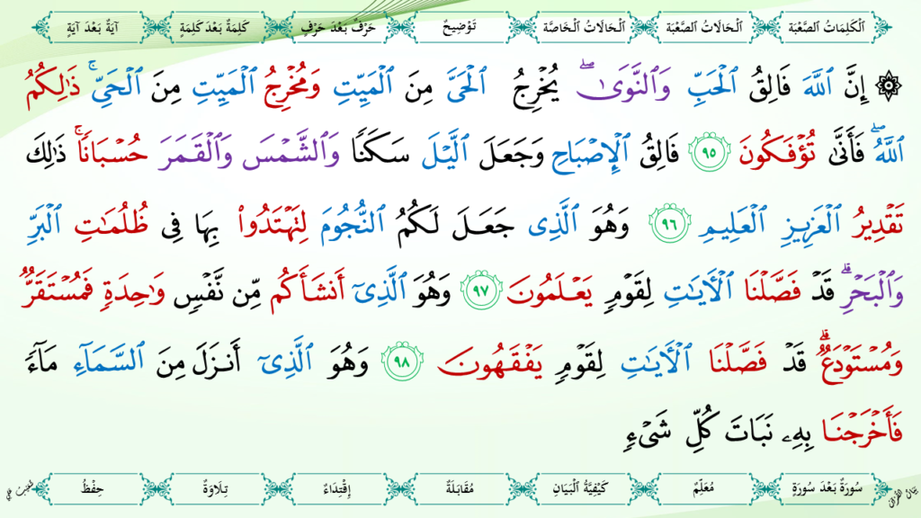 6- سورة الأنعام - 31