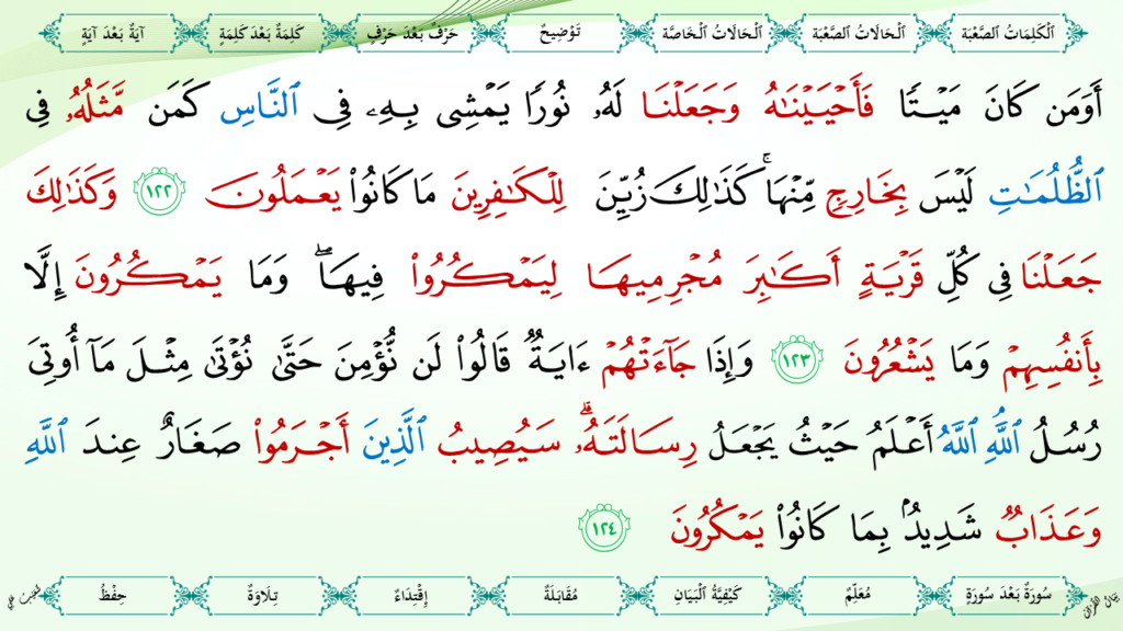 6- سورة الأنعام - 38